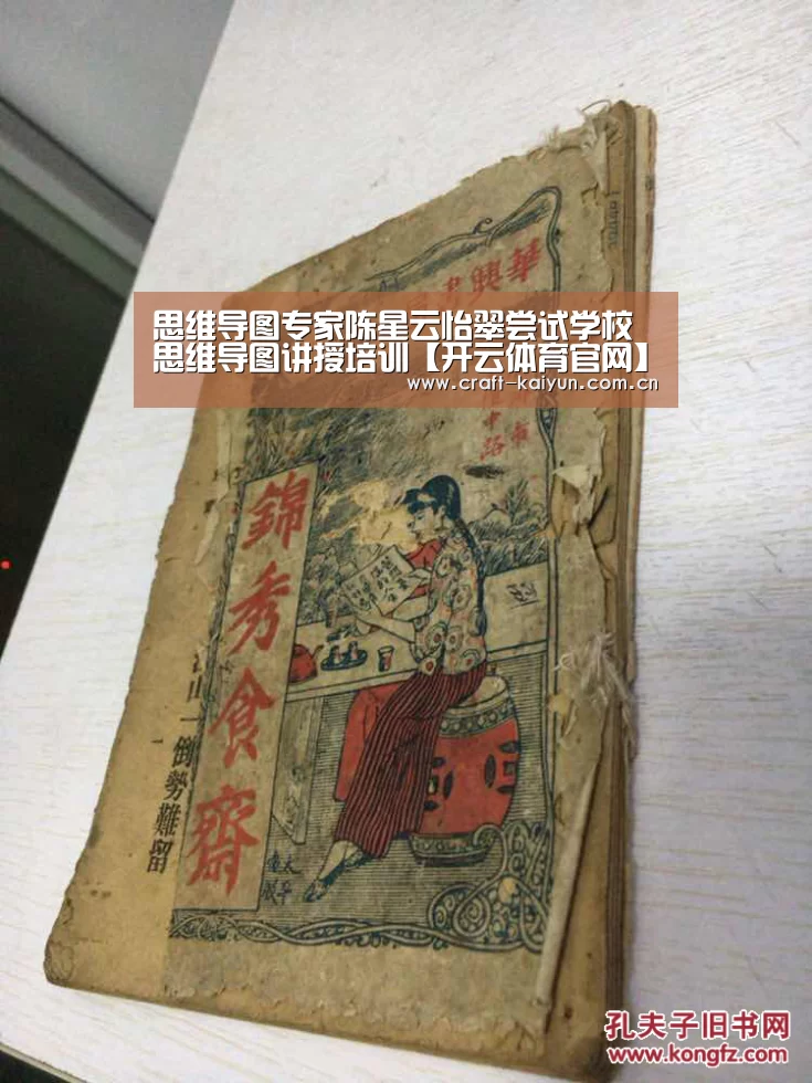 思维导图专家陈星云怡翠尝试学校思维导图讲授培训【开云体育官网】(图4) 开元体育