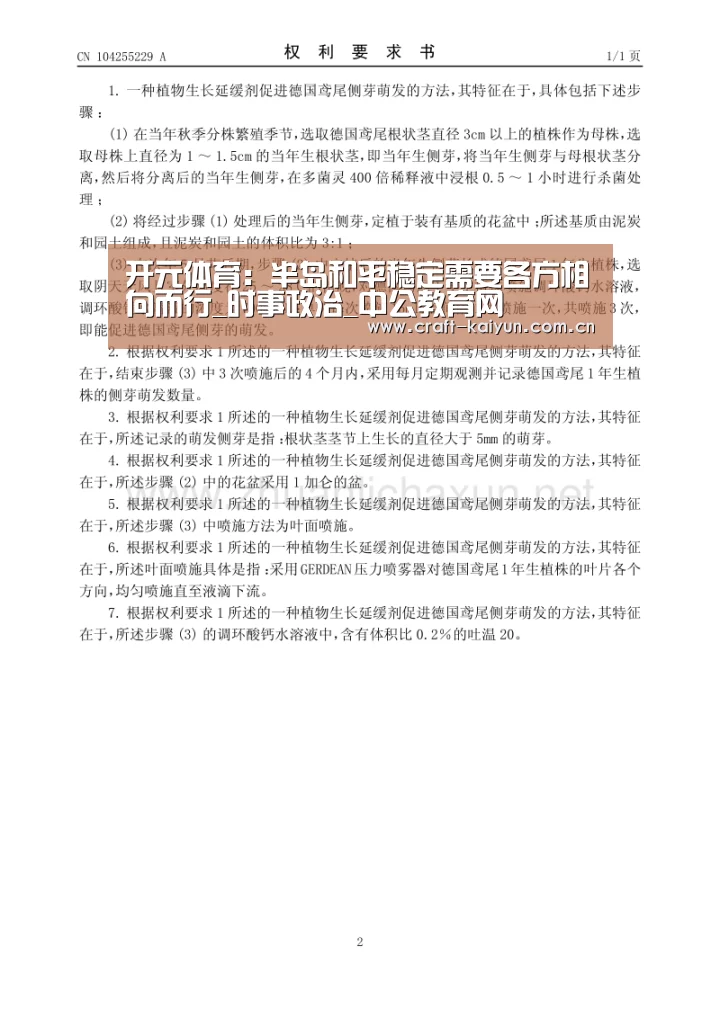 开元体育：半岛和平稳定需要各方相向而行_时事政治_中公教育网