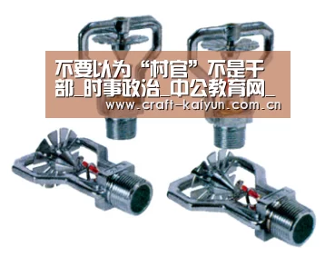 不要以为“村官”不是干部_时事政治_中公教育网_开云官网(图1) 开云体育官网